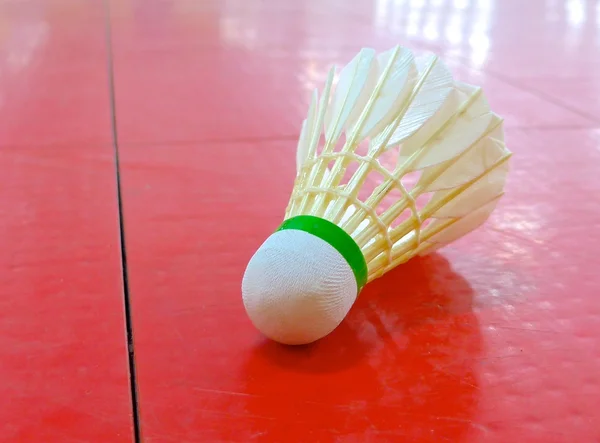 Shuttlecock closeup on the floor at court — Stock Photo, Image