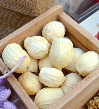 Ağaç tohumu mağazasında yakın çekim