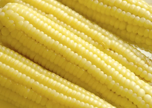 Closeup of sweet boiled corn — Stock Photo, Image