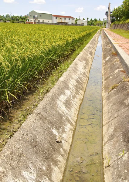 Gudang irigasi sawah — Stok Foto