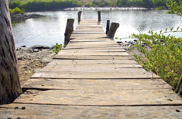 The wooden jetty into lake — Stock Photo, Image