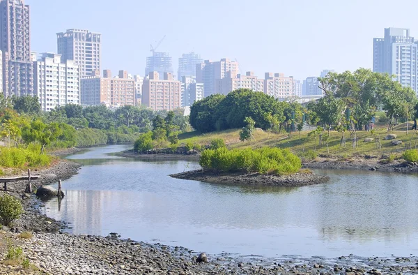 El pantano de humedales cerca de la ciudad — Foto de Stock