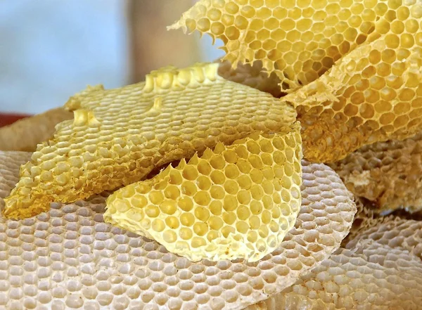 The close view of honeycomb — стоковое фото