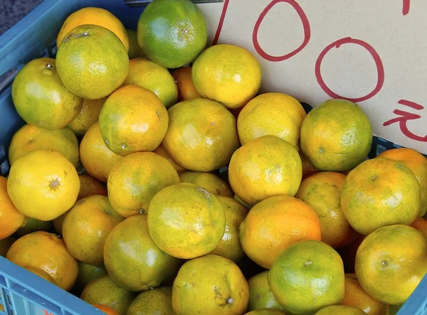 Tropiska tangeriner — Stockfoto