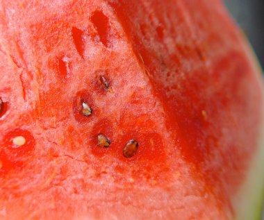 Karpuz Satılık Görünümü Kapat