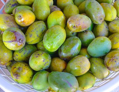 Mango Görünümü Kapat