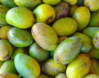 Mango Görünümü Kapat