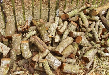 Günlükleri için yanan odun kesmek