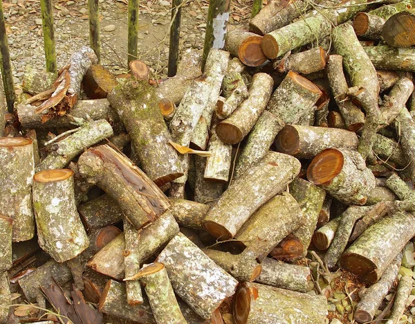 Резка бревен для сжигания древесины — стоковое фото