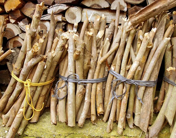 Cut logs for wood burning — Stock Photo, Image