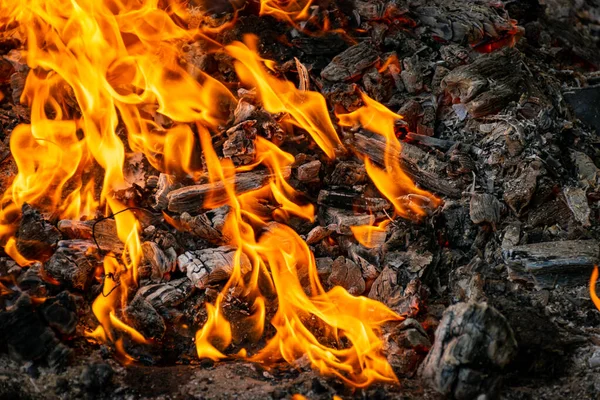 Geceleri kömür yakmak, kömür çürütmek, barbekü sezonu. Yakın plan..