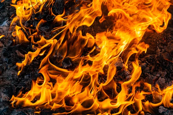 火在燃烧时会产生无限的形状 火焰中的橙色和黑色的背景图创造了有趣的纹理 地狱的火焰 燃烧的力量 — 图库照片