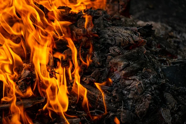 晚上烧煤块 腐烂的煤 烧烤季节 后续行动 — 图库照片