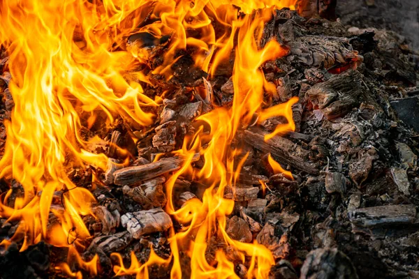 Geceleri kömür yakmak, kömür çürütmek, barbekü sezonu. Yakın plan..