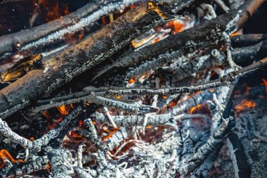Sıcak ateş ormanı yakıyor çevre kavramını. Ateş yoluna çıkan her şeyi öldürür..