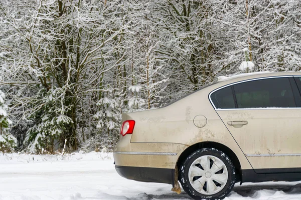 Araba kış ormanında bozuldu. Araba kışın soğukta sıkıştı. Kışın ormanda yapayalnız.