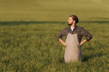 Tarlada duran çiftçi