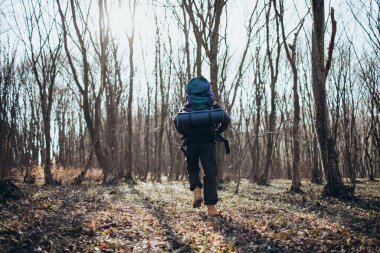 Ormanda yürüyen yürüyüşçü.