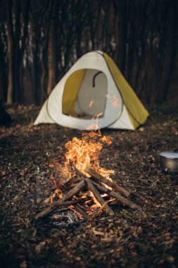 Sonbahar ormanında kamp yapmak.