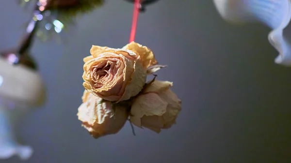 Μπουκέτο Από Χάρτινα Τριαντάφυλλα Θολό Φόντο — Φωτογραφία Αρχείου