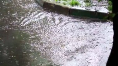Yazın veya sonbaharda yağan yağmur damlaları şehirdeki asfalta düşer ve büyük bir su birikintisine dönüşerek caddeyi sel basar. Yağmur damlaları yağıyor. yavaş çekim