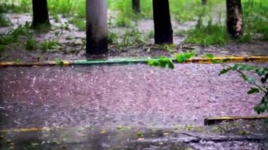 Yazın veya sonbaharda yağan yağmur damlaları şehirdeki asfalta düşer ve büyük bir su birikintisine dönüşerek caddeyi sel basar. Yağmur damlaları yağıyor. yavaş çekim