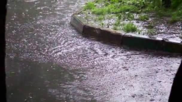 Närbild Droppar Sommar Eller Höst Regn Vatten Faller Asfalt Staden — Stockvideo