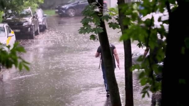 Großaufnahme Fallen Sommerliche Oder Herbstliche Wassertropfen Auf Den Asphalt Der — Stockvideo