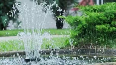 Küçük çeşme suyu püskürtüyor. Çeşmenin yavaş çekim görüntüleri. renk