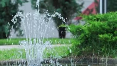 Küçük çeşme suyu püskürtüyor. Çeşmenin yavaş çekim görüntüleri. renk