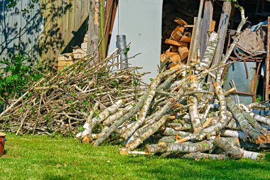 Kereste fabrikasındaki ağaçlar satılık poşetlerde duruyor. Yakacak odun yığını. Kış için yakacak odun hazırlıyorum. Bir odun yığını. Kesilmiş odun. Odun. Kışa hazır odun yığını.