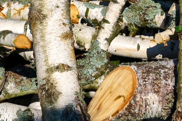 Дерева Лісопильні Укладаються Мішки Продажу Стовпи Дров Приготування Дров Зиму — стокове фото