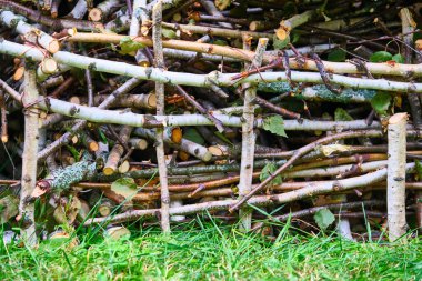 Sobayı yakmak için kuru odun odunu..