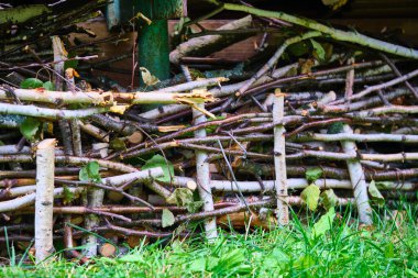 Sobayı yakmak için kuru odun odunu..
