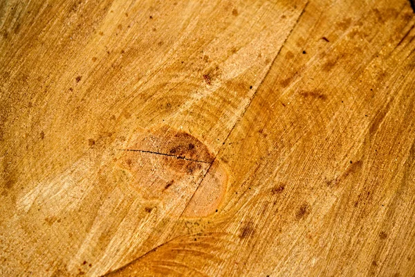 Close View Wood Core Sawn Mature Tree Section Cracks Rings — Stock Photo, Image