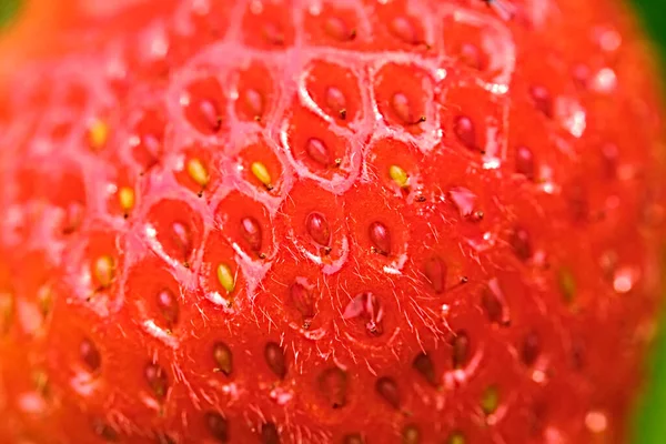 Κοντινή Υφή Φρέσκιας Κόκκινης Φράουλας Φύλλα — Φωτογραφία Αρχείου