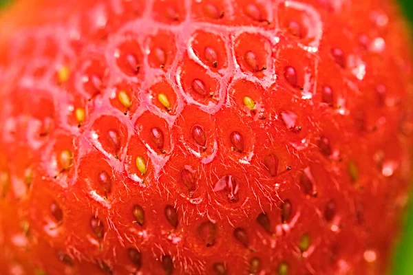 葉を持つ新鮮な赤いイチゴのクローズアップテクスチャ — ストック写真