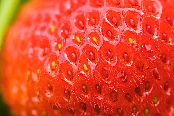 葉を持つ新鮮な赤いイチゴのクローズアップテクスチャ — ストック写真