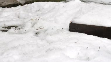 Fıçıyı su ve buzla at. renk