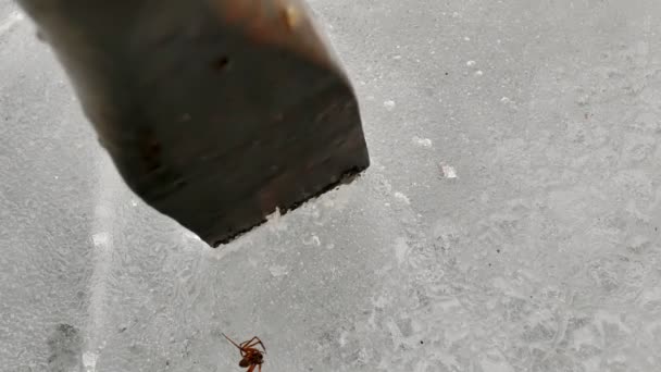 Разбивая лед тяжелым инструментом. цвет — стоковое видео