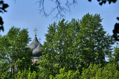 Rusya 2020. Kilise bir ağaç dalının arkasında kubbe gibi. Genel plan. renk