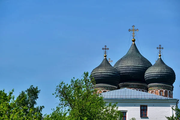 Russia 2020 Cupole Chiesa Dietro Ramo Albero Piano Generale Colore — Foto Stock