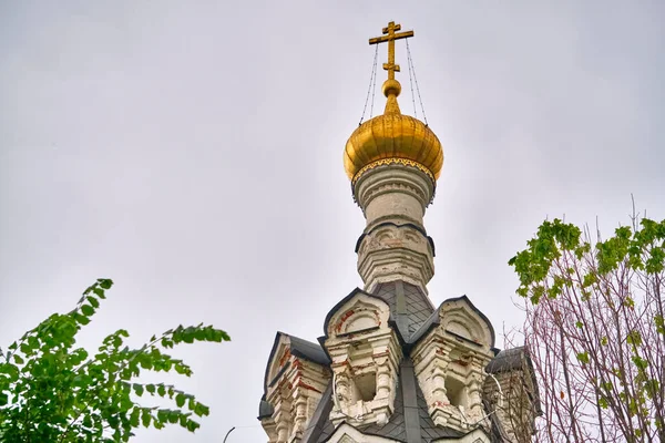 Russia 2020 Cupole Chiesa Dietro Ramo Albero Piano Generale Colore — Foto Stock