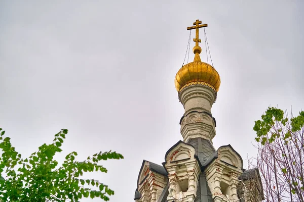 Russie 2020 Des Dômes Église Derrière Une Branche Arbre Plan — Photo