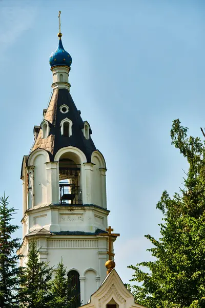 Russie 2020 Des Dômes Église Derrière Une Branche Arbre Plan — Photo