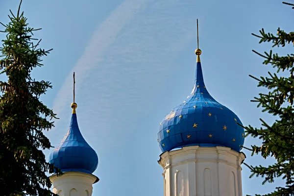 Rusya 2020 Kilise Bir Ağaç Dalının Arkasında Kubbe Gibi Genel — Stok fotoğraf