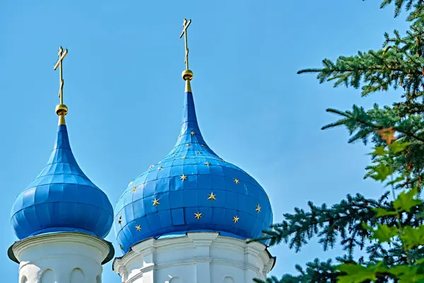 Russia 2020 Cupole Chiesa Dietro Ramo Albero Piano Generale Colore — Foto Stock