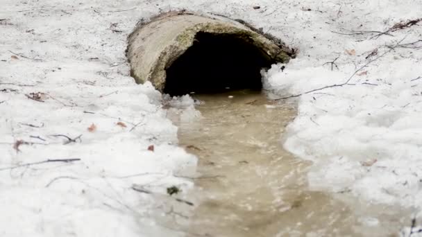 Zbliżenie Potoku Lesie Zimie Płynącej Wody Natury Mała Rzeka Śniegu — Wideo stockowe