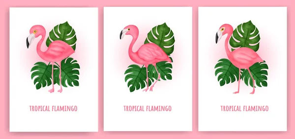 Tropik Flamingo Tebrik Kartı Seti — Stok Vektör