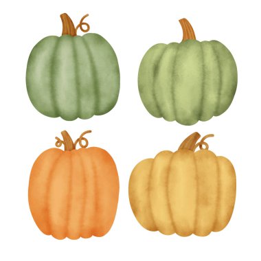 El çizimi suluboya balkabağı seti